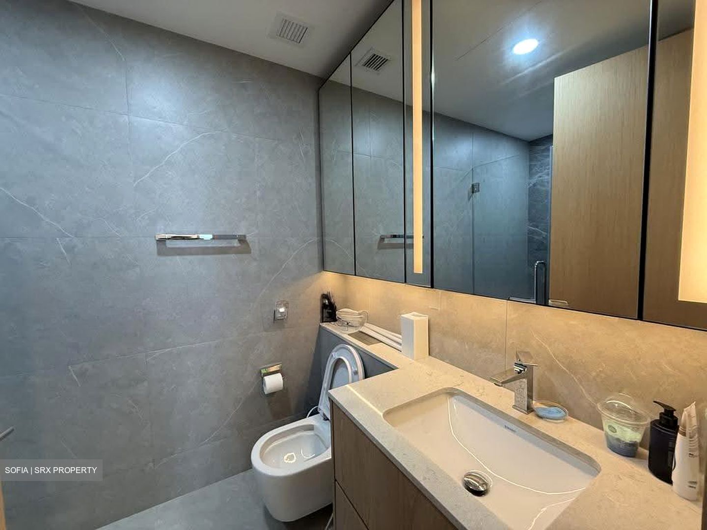 Peak Residence (D11), Condominium #627896421